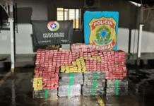 Casal é preso com quase meia tonelada de drogas na BR-282