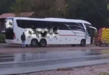 Bebê de 4 meses morre durante viagem em ônibus na BR-470