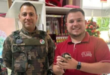 Filhote de gambá é resgatado, reabilitado e devolvido à natureza em Videira