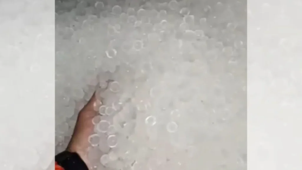 Forte chuva de granizo destrói lavouras e causa prejuízos em Canoinhas