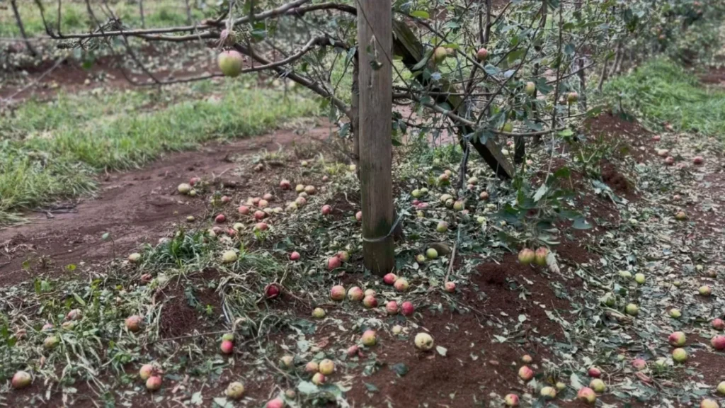 Fraiburgo decreta emergência em nove comunidades após fortes chuvas