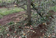 Fraiburgo decreta emergência em nove comunidades após fortes chuvas