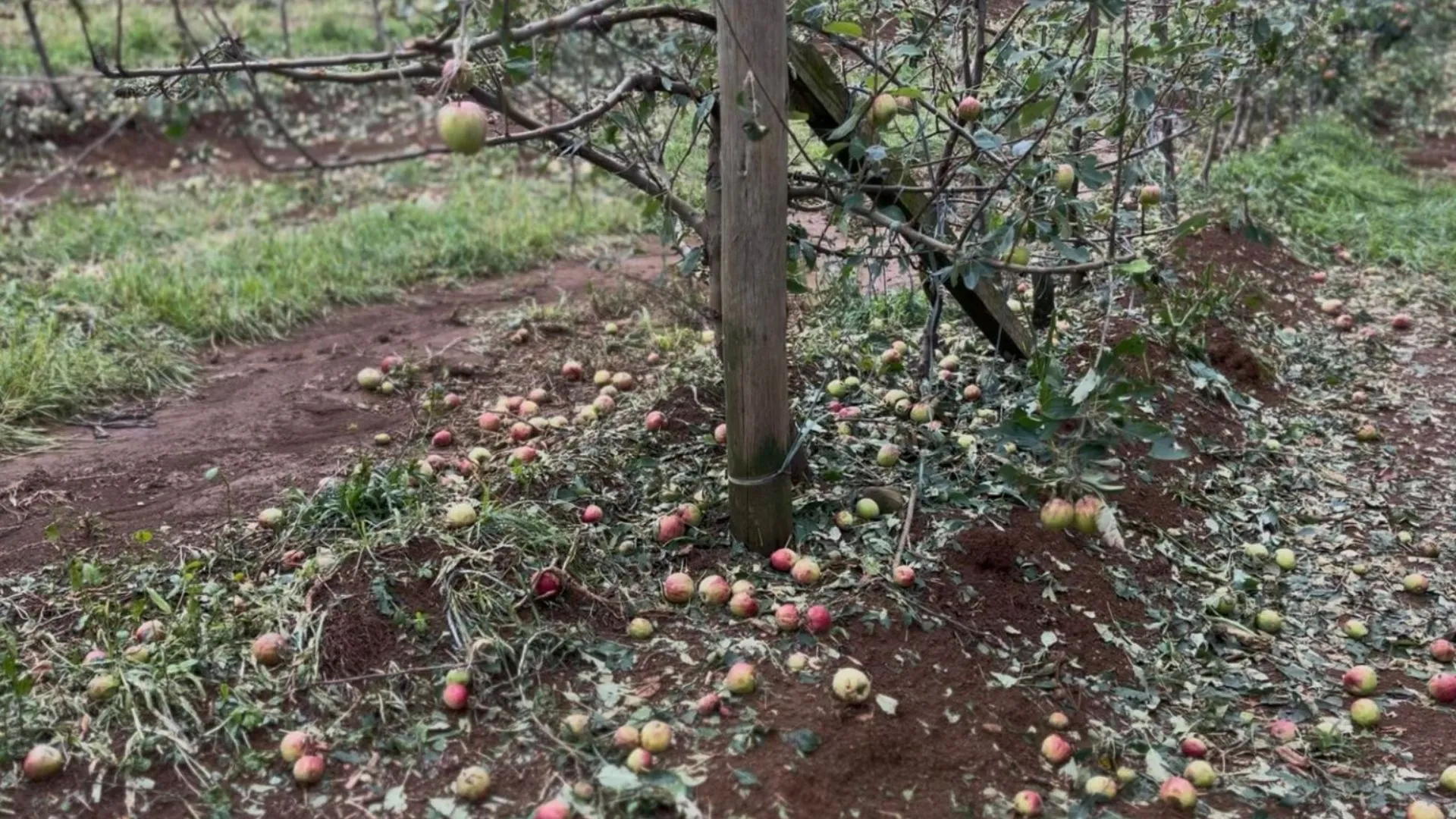 Fraiburgo decreta emergência em nove comunidades após fortes chuvas