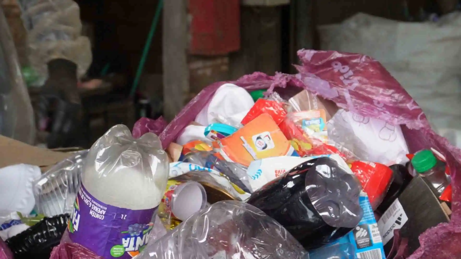 Sustentabilidade no Meio Oeste: descarte correto do lixo ganha força em Videira