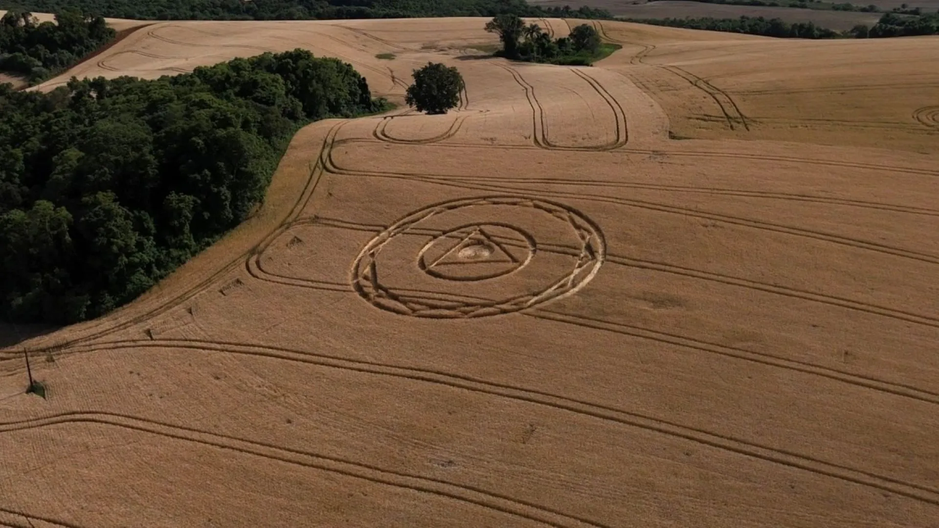 Nova formação de agroglifo intriga moradores em Ipuaçu no Oeste de SC