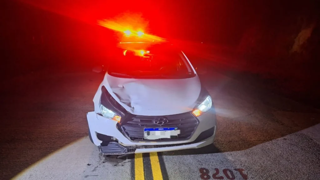 Animal invade pista e causa acidente no Oeste de SC