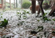 Meio-Oeste entra em alerta para temporais com granizo entre quinta e sábado Meio-Oeste entra em alerta para temporais com granizo entre quinta e sábado