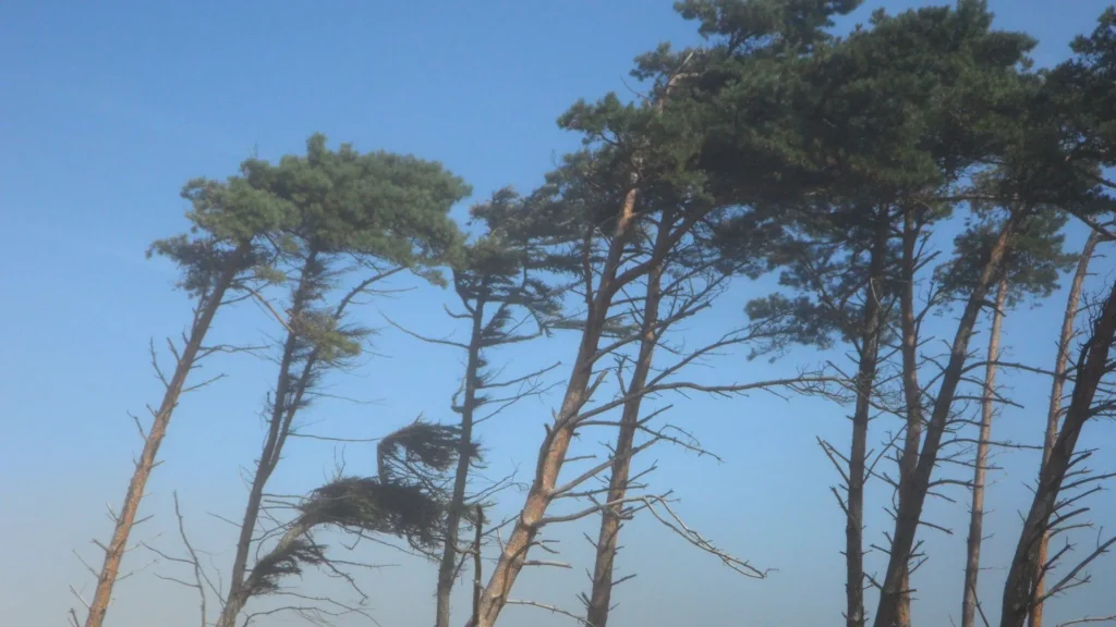 Dois ciclones extratropicais atingem Santa Catarina nesta semana