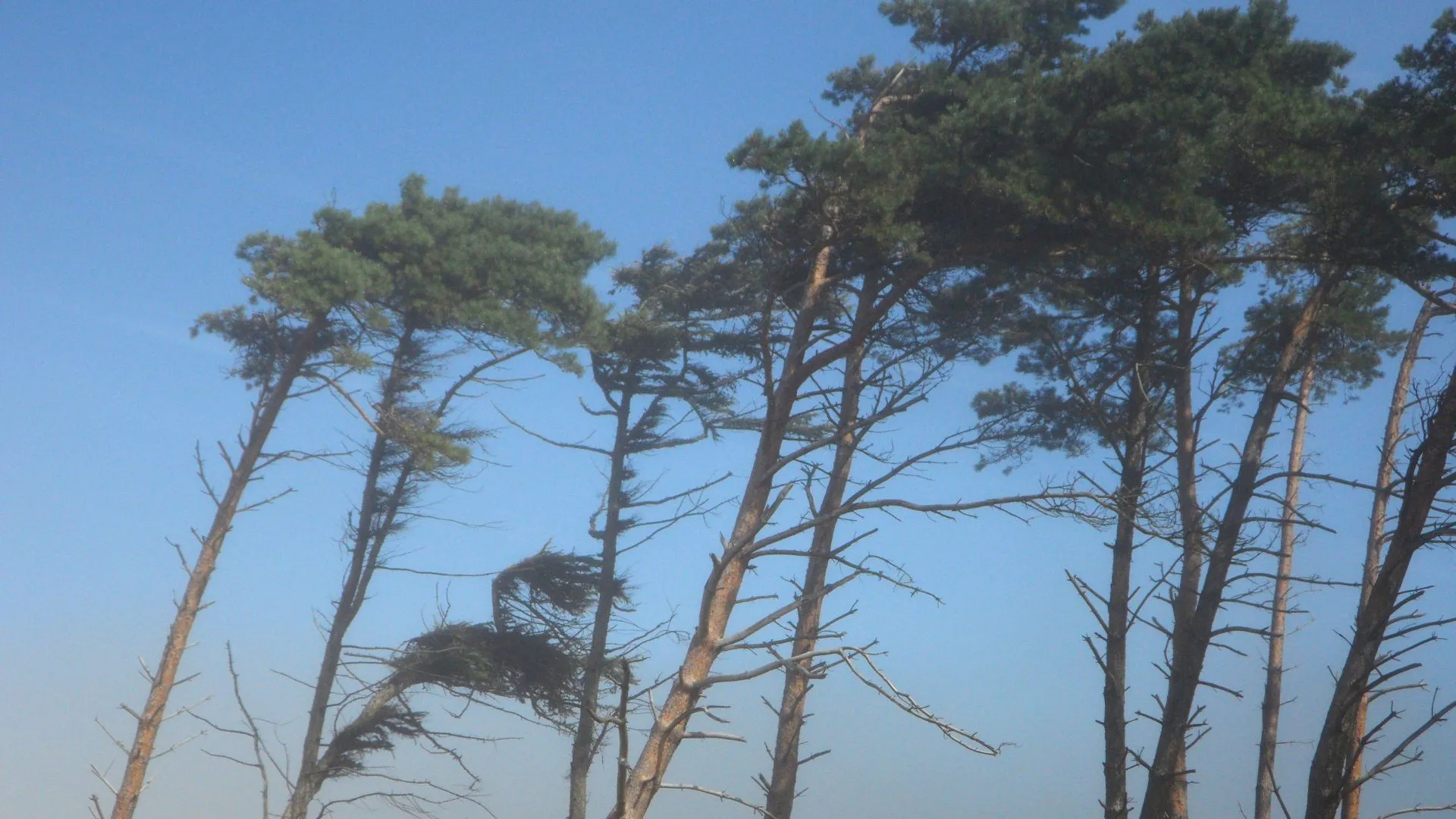 Dois ciclones extratropicais atingem Santa Catarina nesta semana