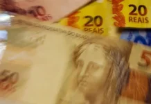 Santa Catarina lidera menor dependência do Bolsa Família no Brasil Santa Catarina lidera menor dependência do Bolsa Família no Brasil