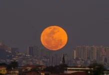 Superlua mais brilhante do ano pode ser vista no Brasil nesta quarta