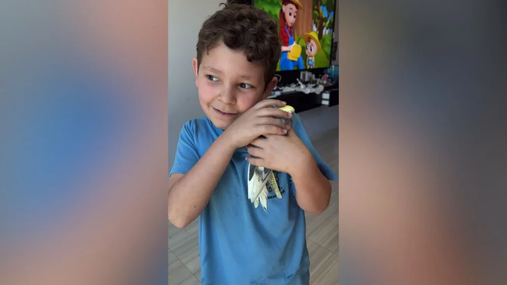 Calopsita perdida é resgatada por equipe da BRK em Caçador