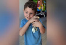 Calopsita perdida é resgatada por equipe da BRK em Caçador