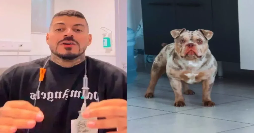 Influenciador tem dedo do pé comido por seu cachorro