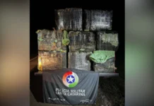 PMRv apreende 270 kg de maconha em Água Doce
