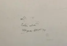 “Oi, estou salva”: mensagem de criança emociona policiais em Chapecó