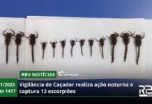 RBV Notícias Caçador – 06/11/2025 – Edição 1417