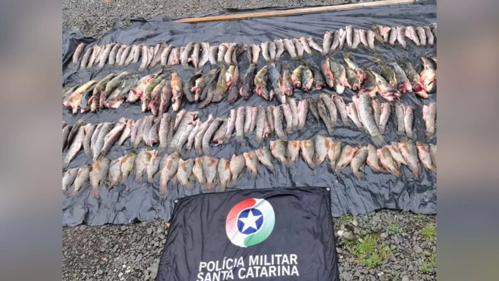 Polícia Ambiental flagra pesca ilegal durante a piracema