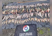 Polícia Ambiental flagra pesca ilegal durante a piracema