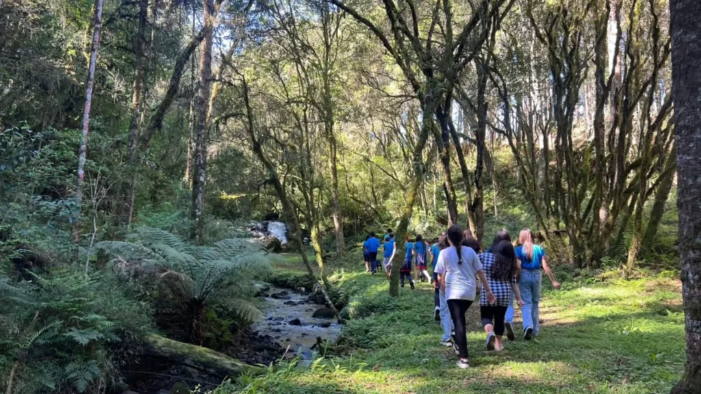 Trilha Ecológica do Horto Florestal recebe agendamentos em Caçador