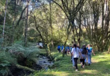 Trilha Ecológica do Horto Florestal recebe agendamentos em Caçador