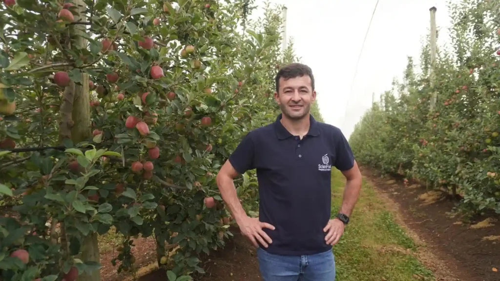 Clima extremo desafia a fruticultura no Meio-Oeste em 2025