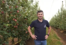 Clima extremo desafia a fruticultura no Meio-Oeste em 2025