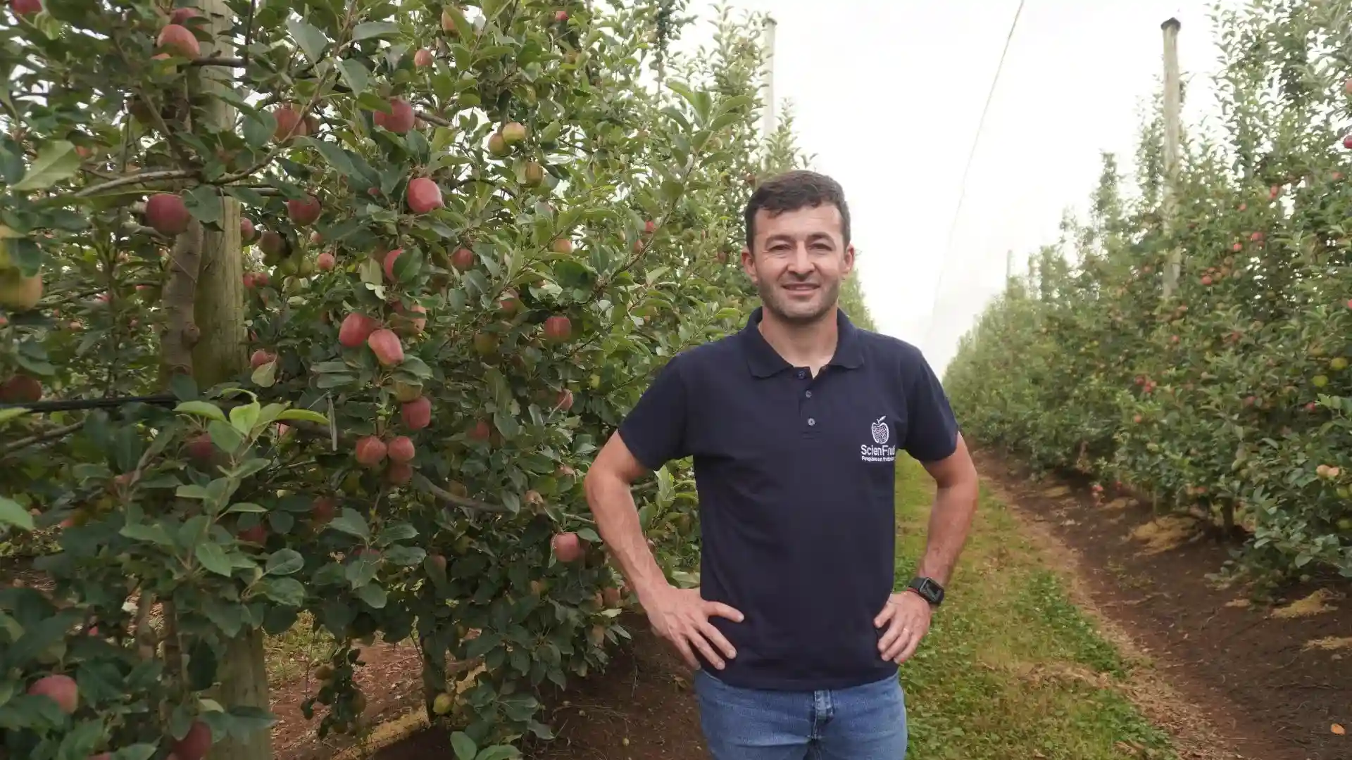 Clima extremo desafia a fruticultura no Meio-Oeste em 2025