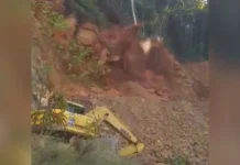 Trabalhador escapa por segundos de soterramento em SC