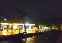 Ao desviar de cachorro, caminhão atinge poste e causa transtornos em Fraiburgo