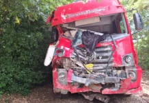 Caminhão carregado de suínos invade cemitério após falha nos freios em SC