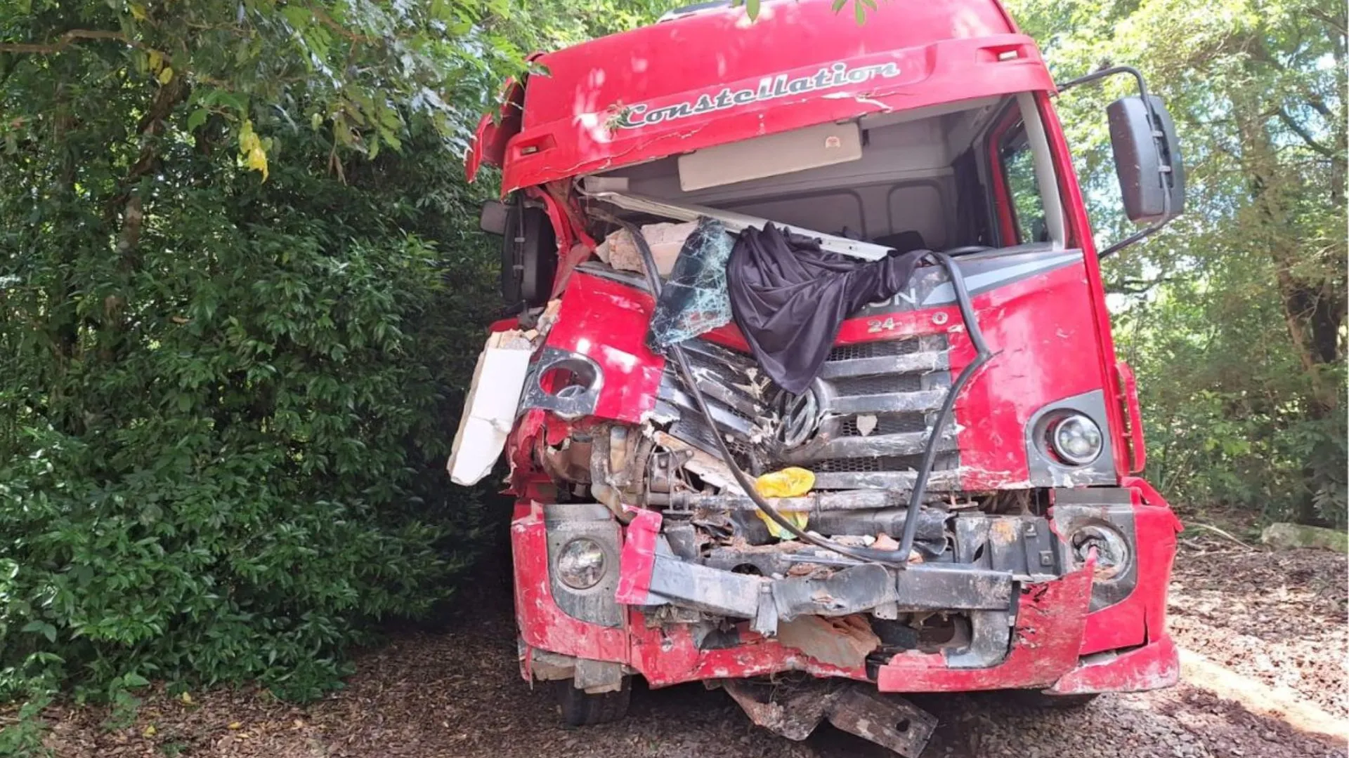 Caminhão carregado de suínos invade cemitério após falha nos freios em SC