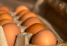 Preço do ovo cai 38% em Santa Catarina ao longo de 2025