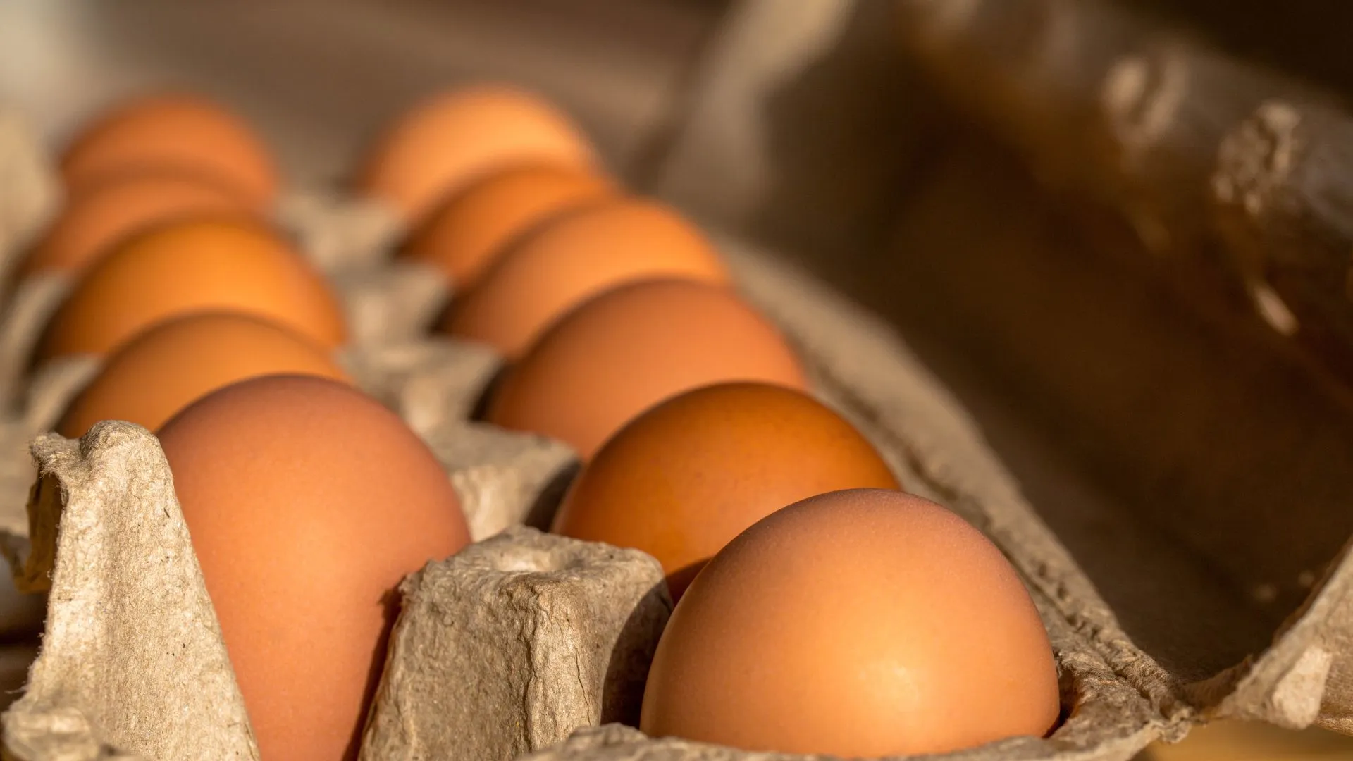 Preço do ovo cai 38% em Santa Catarina ao longo de 2025