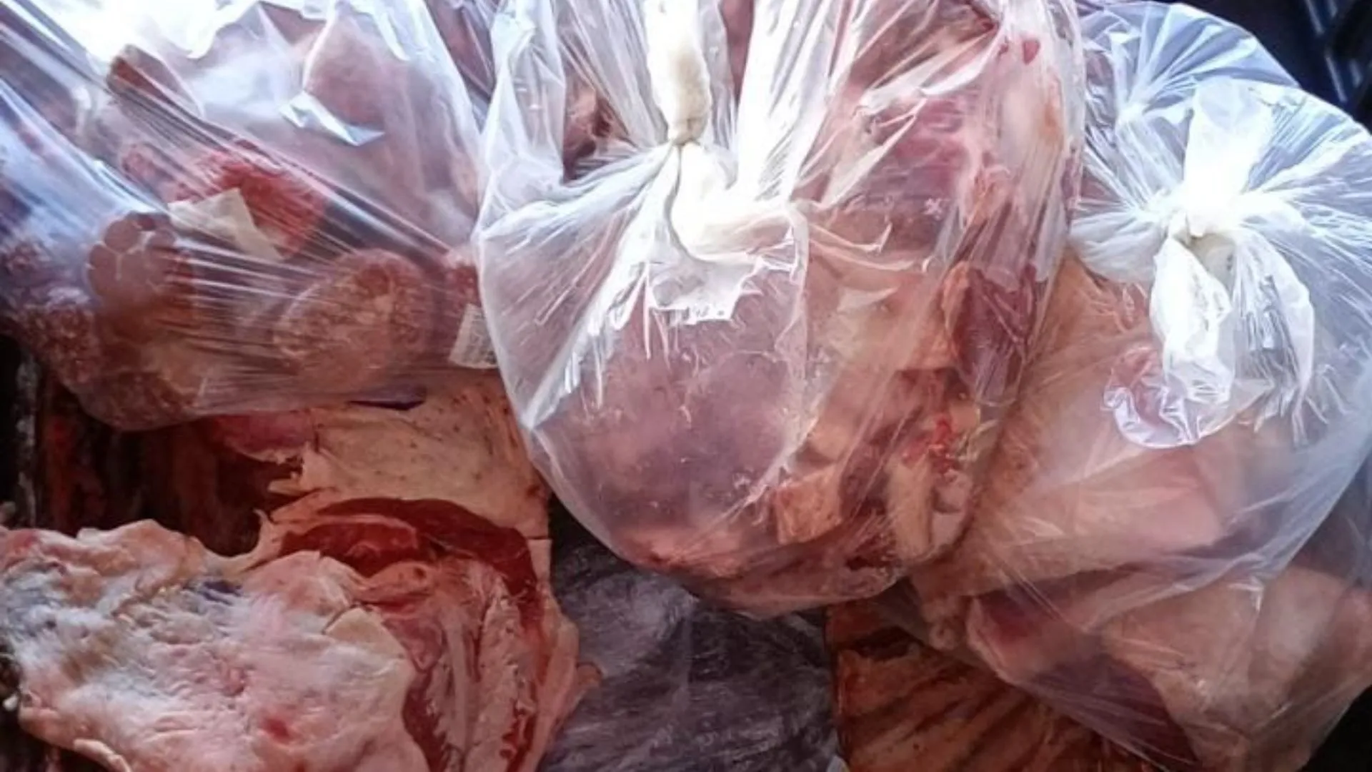 Supermercados de Caçador são alvo de ação que recolhe mais de 1 tonelada de alimentos impróprios