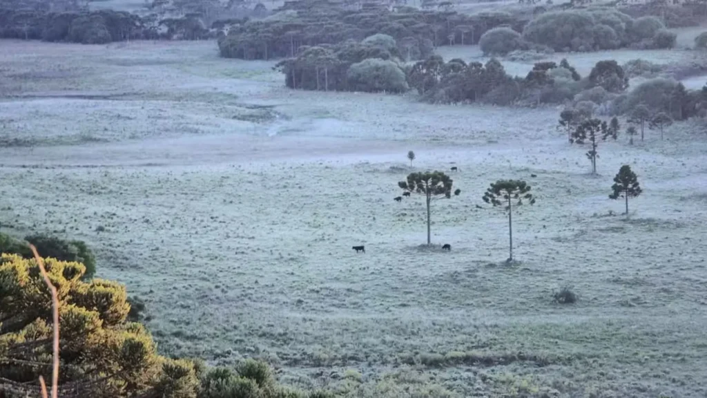 Serra de SC amanhece com geada e temperaturas de inverno