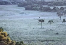 Serra de SC amanhece com geada e temperaturas de inverno