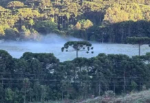 Serra Catarinense registra primeira geada do outono Serra Catarinense registra primeira geada do outono