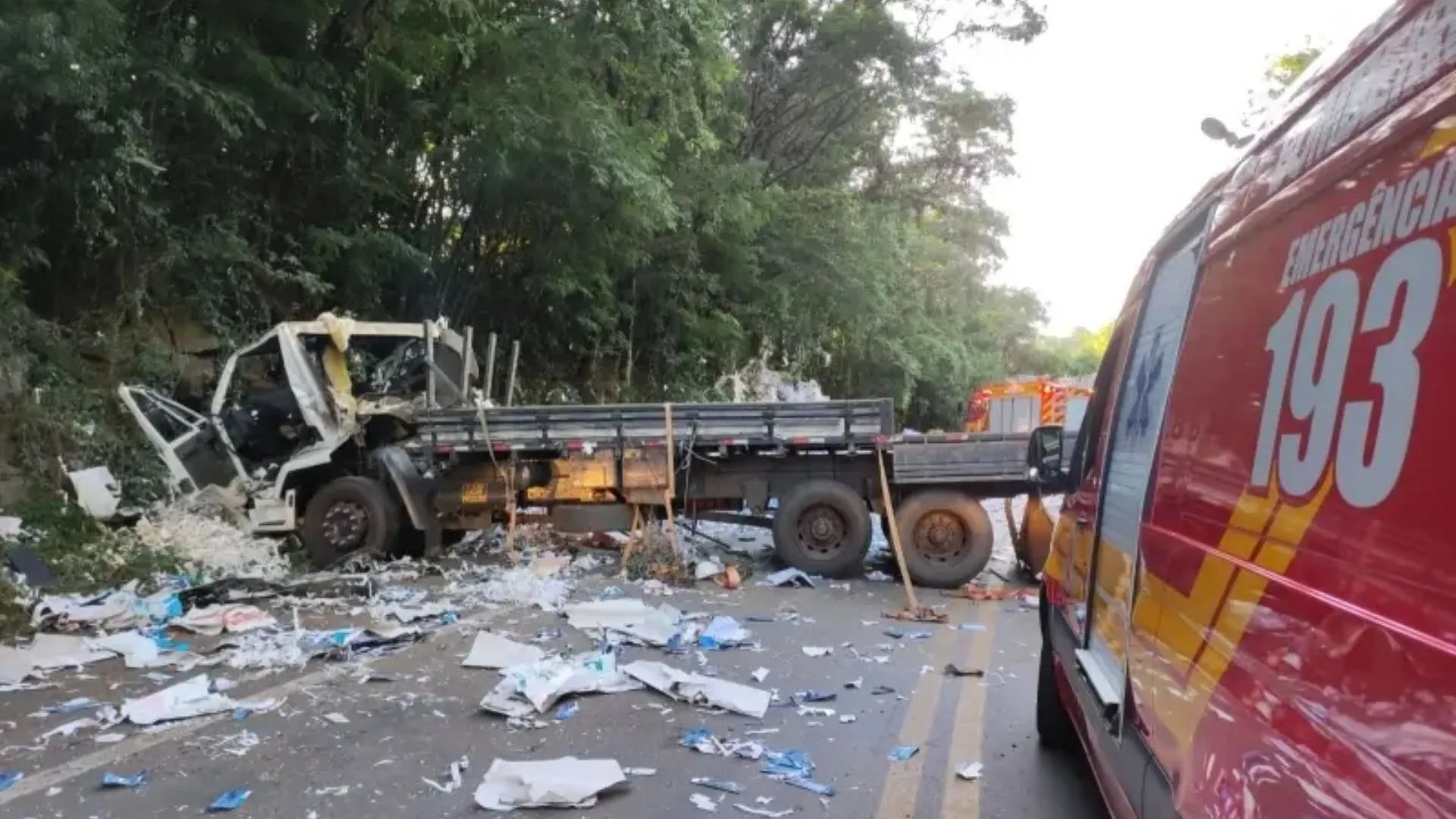 Motorista fica ferido após caminhão carregado de papel reciclado sair da pista e bater em barranco