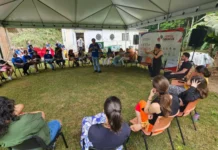 Encontro de Territórios leva arte, história e oficinas gratuitas ao Contestado