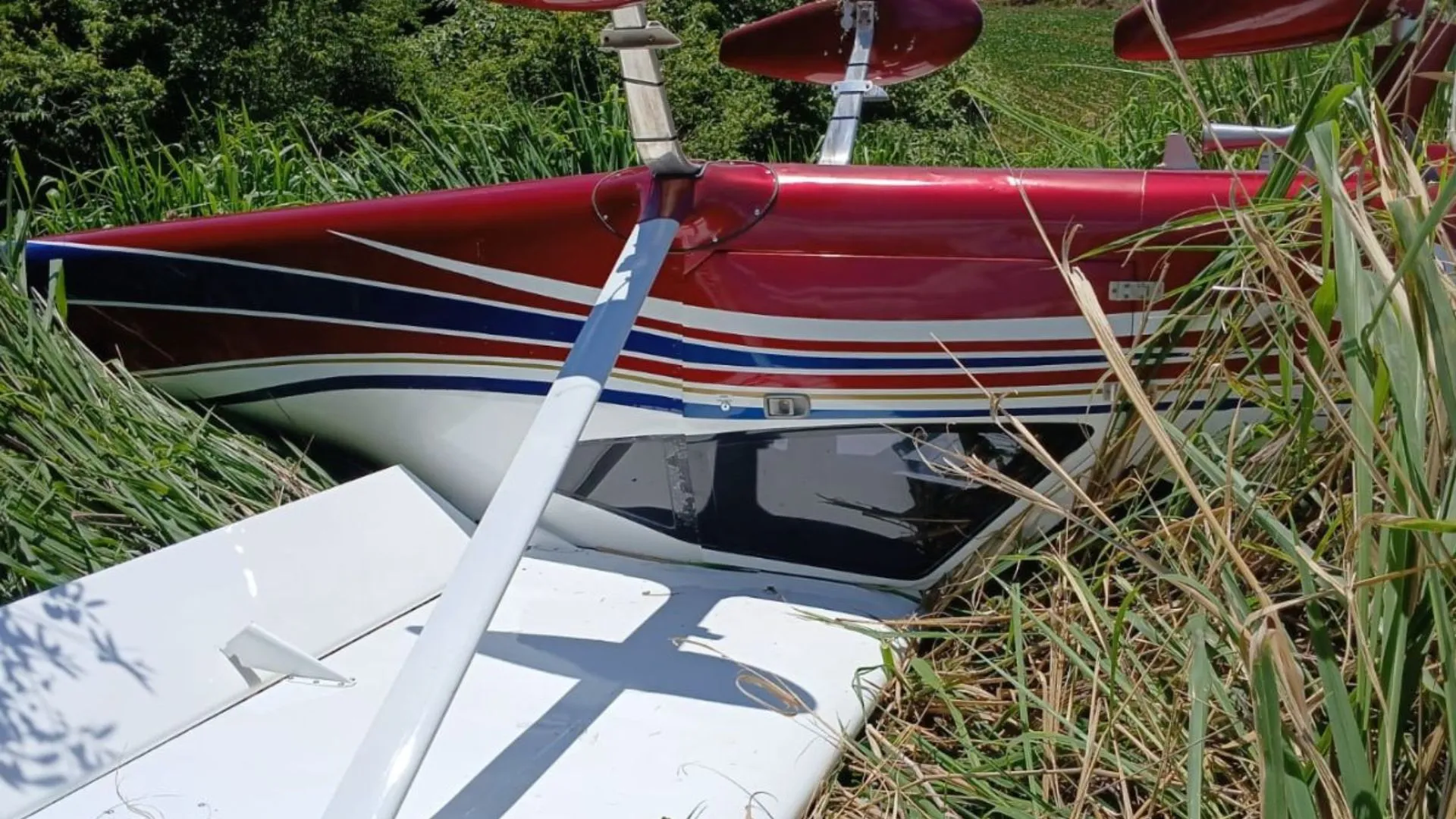 Avião de pequeno porte faz pouso forçado em plantação no Oeste