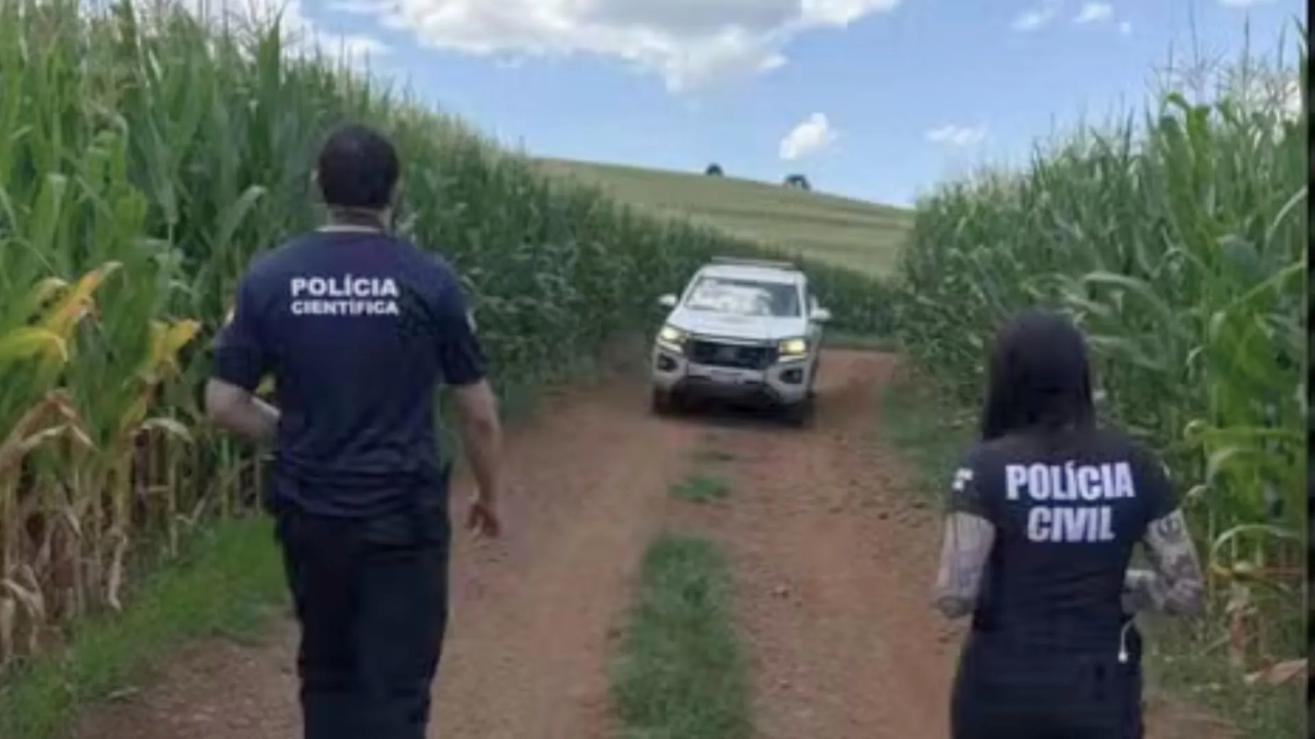 Homem é preso por matar mulher encontrada em plantação de milho em SC