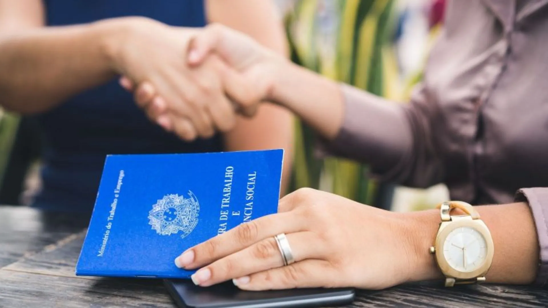 Mais de 34% do varejo de SC pretende contratar temporários para Natal e verão