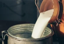 Alesc dá primeiro passo para barrar leite fluido feito com leite em pó importado