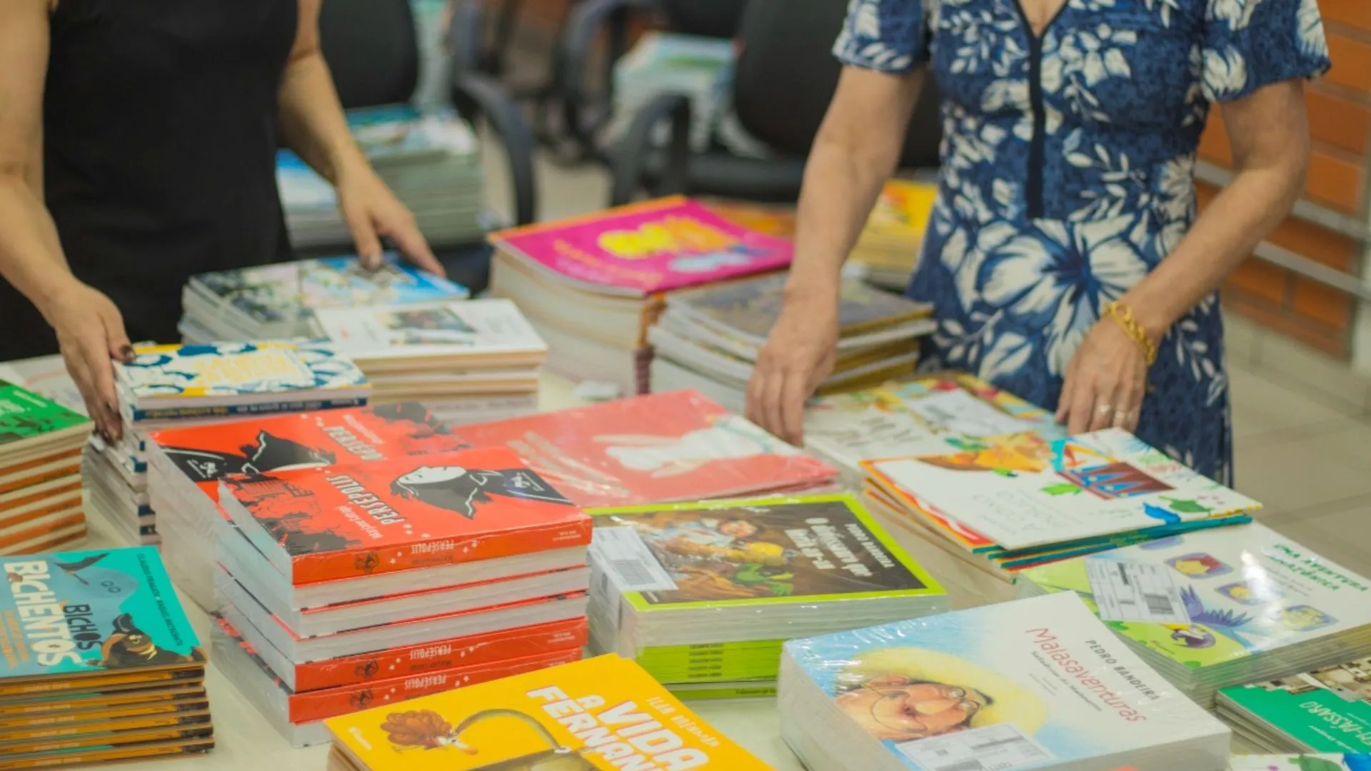 Escolas de Videira recebem mais de 3.500 livros para o ano letivo 2026