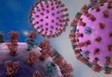 Brasil confirma caso de gripe K; especialistas explicam riscos e prevenção