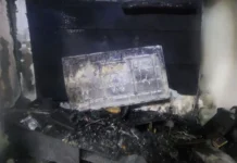 Casa é consumida pelo fogo e bombeiros salvam sete gatos