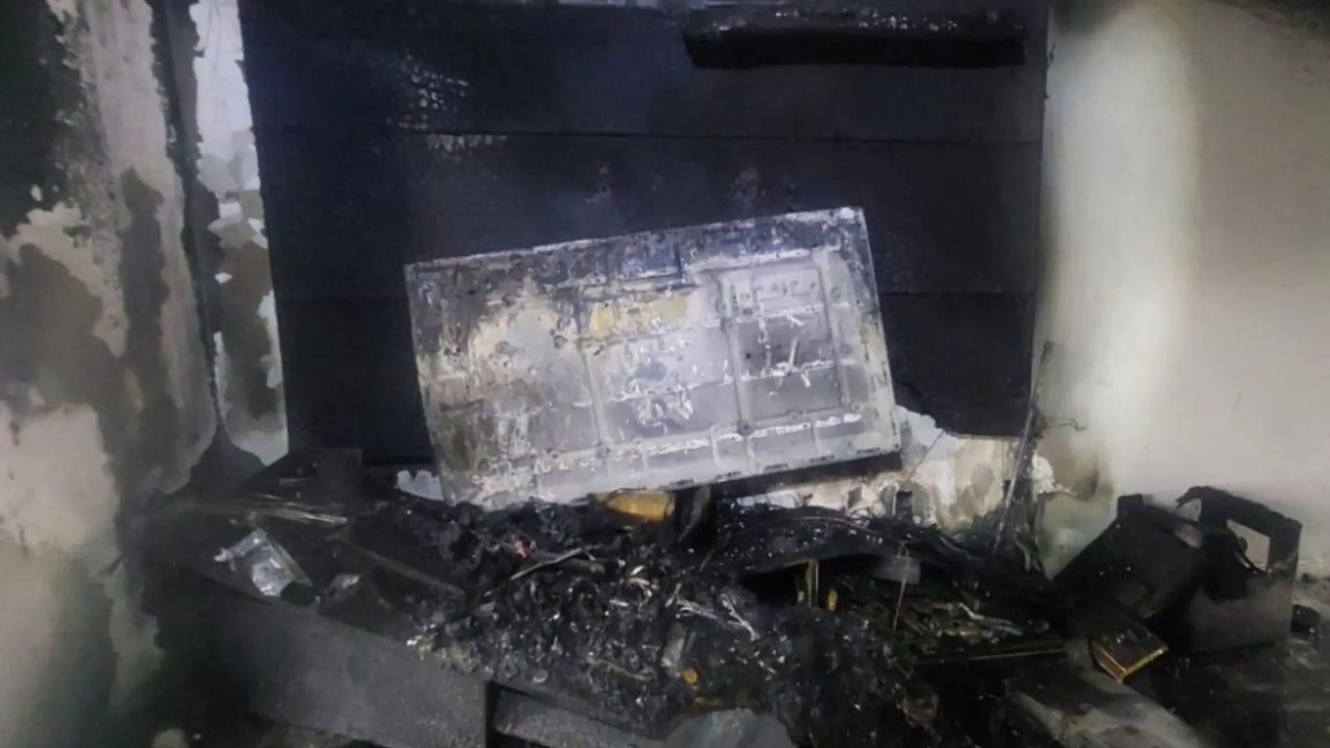 Casa é consumida pelo fogo e bombeiros salvam sete gatos