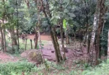 Pai é morto e filho fica ferido em ataque a facão em cachoeira de SC