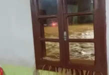 Confira os estragos causados pela tempestade que atingiu Treze Tílias na segunda-feira